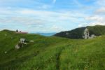 2014-07-05_Laengental-N-Hochweg (807). JPG
